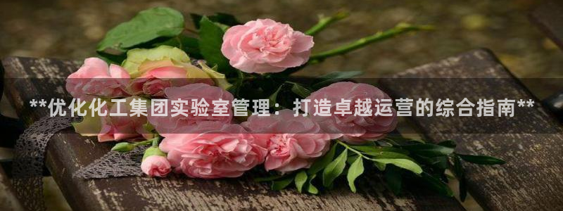 球盟会和中欧合作吗：**优化化工集团实验室管理：打造卓越运营