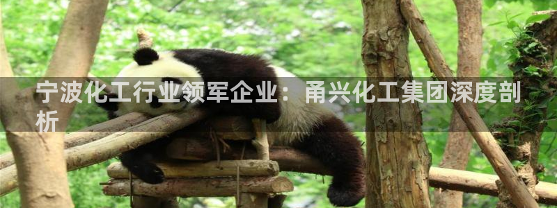 球盟会在线登录：宁波化工行业领军企业：甬兴化工集团深度剖
析