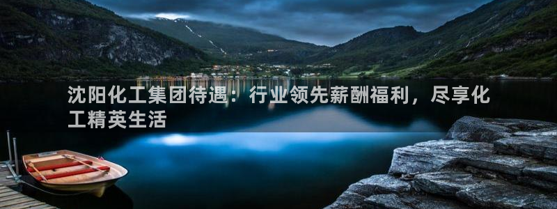 球盟会有没有黑单的人：沈阳化工集团待遇：行业领先薪酬福利，尽