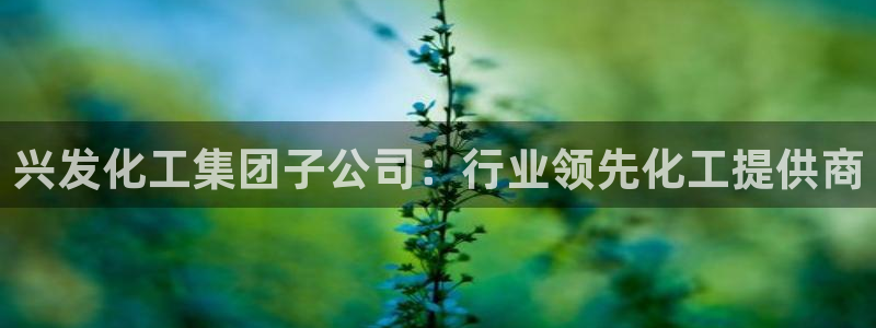 球盟会和中欧：兴发化工集团子公司：行业领先化工提供商
