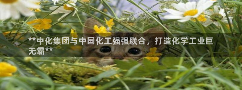 球盟会官方网站app：**中化集团与中国化工强强联合，打造化