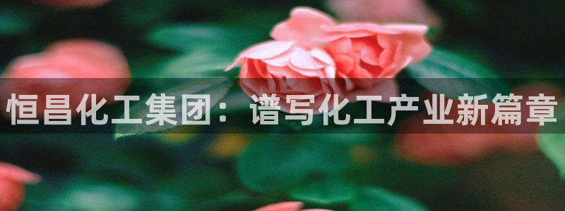 球盟会登录网址：恒昌化工集团：谱写化工产业新篇章