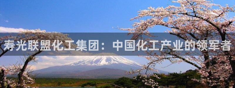 球盟会可以提现么现在：寿光联盟化工集团：中国化工产业的领军者