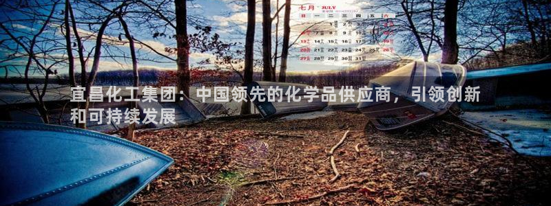 球盟会黑：宜昌化工集团：中国领先的化学品供应商，引领创新
和