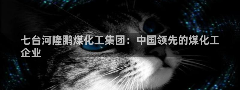 球盟会官方入口：七台河隆鹏煤化工集团：中国领先的煤化工
企业