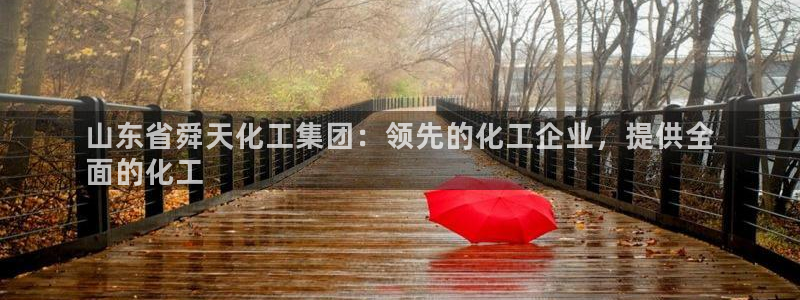 球盟会连接：山东省舜天化工集团：领先的化工企业，提供全
面的