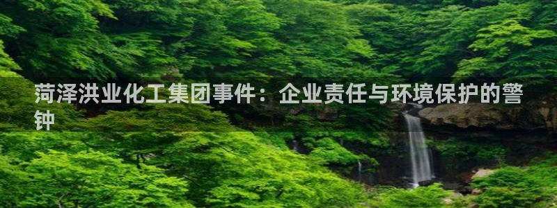 球盟会网址多少：菏泽洪业化工集团事件：企业责任与环境保护的警