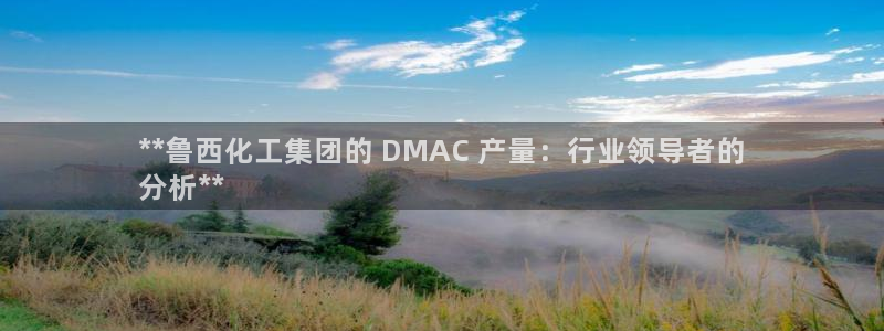 球盟会优惠码：**鲁西化工集团的 DMAC 产量：行业领导者