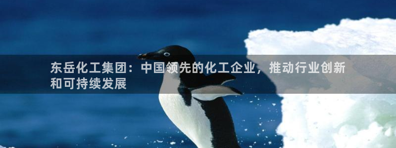 球盟会登陆入口：东岳化工集团：中国领先的化工企业，推动行业创