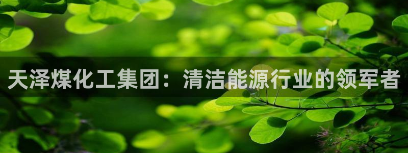 球盟会手机网页版：天泽煤化工集团：清洁能源行业的领军者