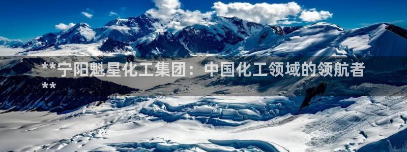 球盟会官方：**宁阳魁星化工集团：中国化工领域的领航者
**
