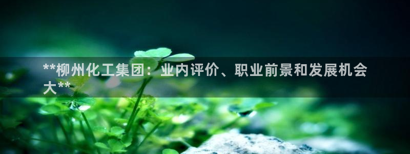 球盟会中国官方网站：**柳州化工集团：业内评价、职业前景和发