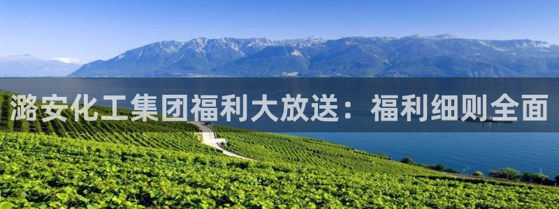 球盟会在线官网：潞安化工集团福利大放送：福利细则全面