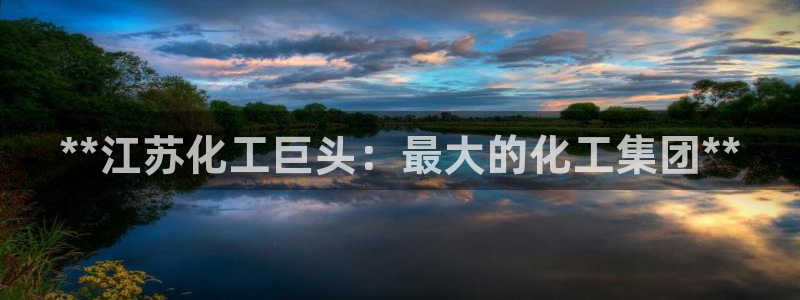 球盟会入口：**江苏化工巨头：最大的化工集团**