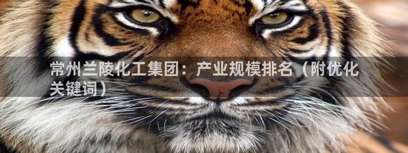 千亿球盟会：常州兰陵化工集团：产业规模排名（附优化
关键词）