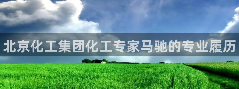 球盟会网址多少：北京化工集团化工专家马驰的专业履历