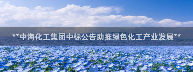 球盟会qm：**中海化工集团中标公告助推绿色化工产业发展**