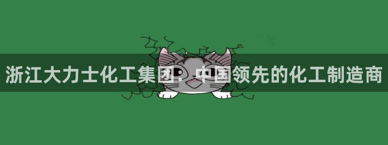 球盟会电子：浙江大力士化工集团：中国领先的化工制造商