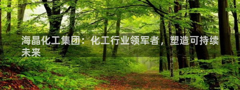 球盟会邮箱：海晶化工集团：化工行业领军者，塑造可持续
未来