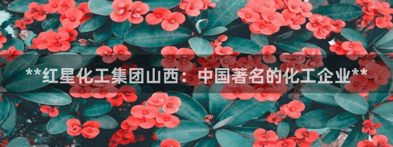球盟会能退钱吗是真的吗：**红星化工集团山西：中国著名的化工