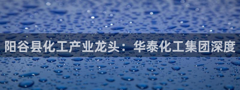 球盟会官方最新入口：阳谷县化工产业龙头：华泰化工集团深度