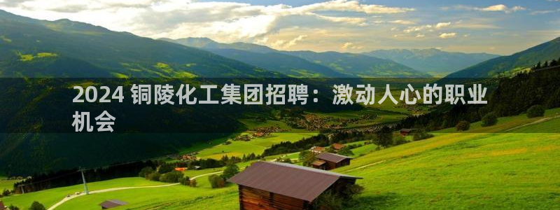 球盟会进不去球员吗：2024 铜陵化工集团招聘：激动人心的职