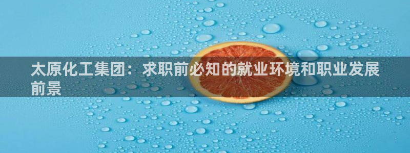 球盟会App：太原化工集团：求职前必知的就业环境和职业发展
