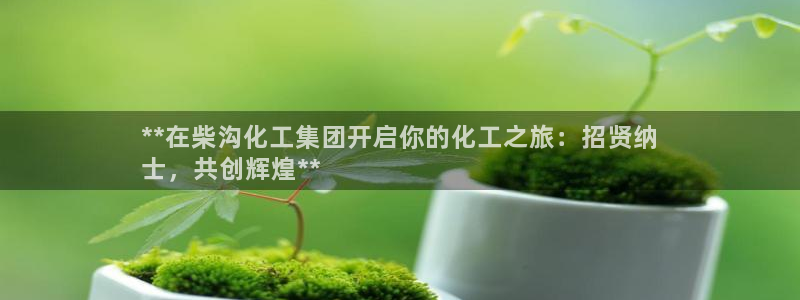 球盟会头号玩家是谁：**在柴沟化工集团开启你的化工之旅：招贤
