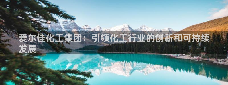 球盟会有没有黑单的活动：爱尔佳化工集团：引领化工行业的创新和