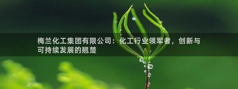 球盟会用的客服聊天是哪个软件：梅兰化工集团有限公司：化工行业