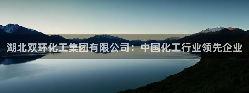 球盟会下载最新版：湖北双环化工集团有限公司：中国化工行业领先