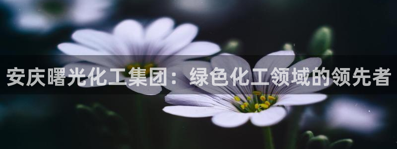 球盟会网页登录app下载地址：安庆曙光化工集团：绿色化工领域