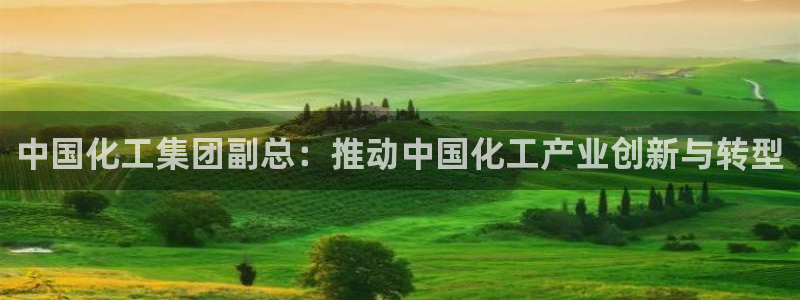球盟会官方登录平台入口：中国化工集团副总：推动中国化工产业创