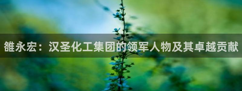 球盟会app手机登录：雒永宏：汉圣化工集团的领军人物及其卓越