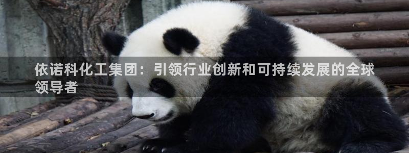 球盟会地址：依诺科化工集团：引领行业创新和可持续发展的全球
