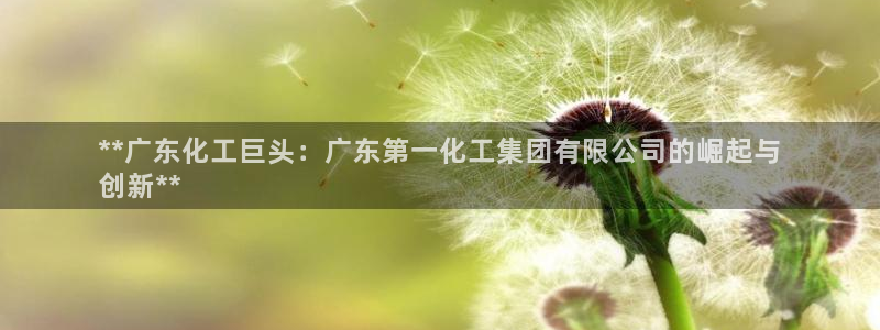 球盟会中国官方网站：**广东化工巨头：广东第一化工集团有限公