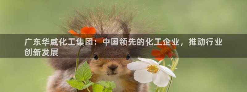 球盟会里面有打牌的嘛：广东华威化工集团：中国领先的化工企业，