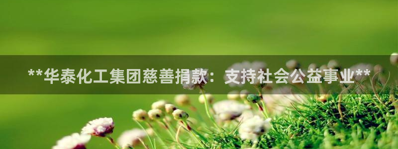 球盟会地址：**华泰化工集团慈善捐款：支持社会公益事业**