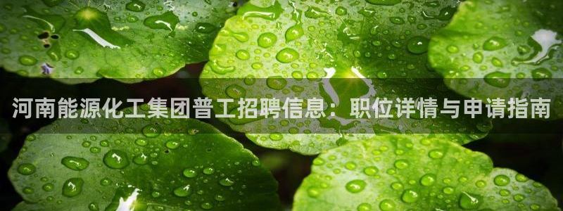 球盟会有没有黑单的：河南能源化工集团普工招聘信息：职位详情与