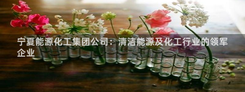 球盟会官方客服：宁夏能源化工集团公司：清洁能源及化工行业的领