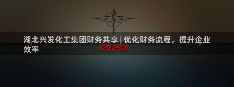 球盟会app：湖北兴发化工集团财务共享 | 优化财务流程，提