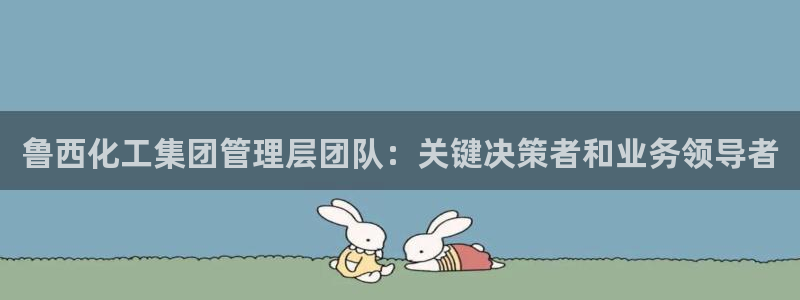 球盟会电子好下吗：鲁西化工集团管理层团队：关键决策者和业务领