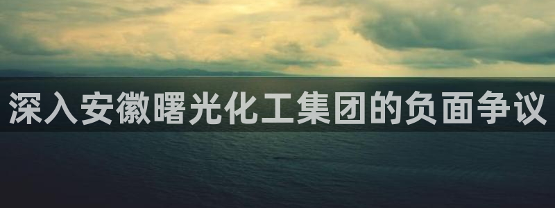 球盟会有没有黑单的球员：深入安徽曙光化工集团的负面争议