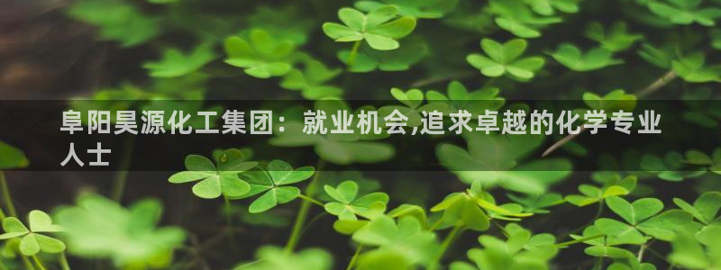 球盟会APP下载：阜阳昊源化工集团：就业机会,追求卓越的化学