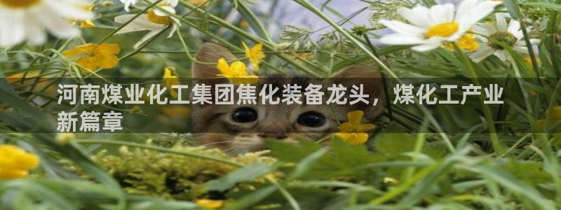 球盟会入口：河南煤业化工集团焦化装备龙头，煤化工产业
新篇章