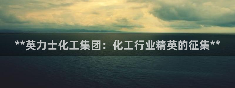 球盟会网址qm9 - 球盟会qmh网页版登录：**英力士化工