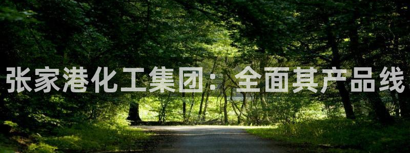 球盟会APP下载：张家港化工集团：全面其产品线