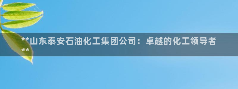 球盟会qmh网页版登录：**山东泰安石油化工集团公司：卓越的