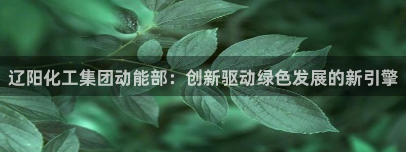 球盟会电子游戏平台：辽阳化工集团动能部：创新驱动绿色发展的新