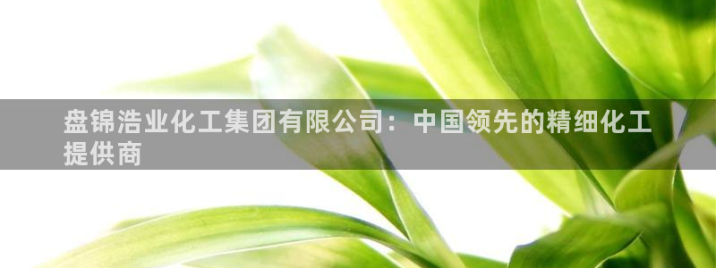 球盟会论坛：盘锦浩业化工集团有限公司：中国领先的精细化工
提
